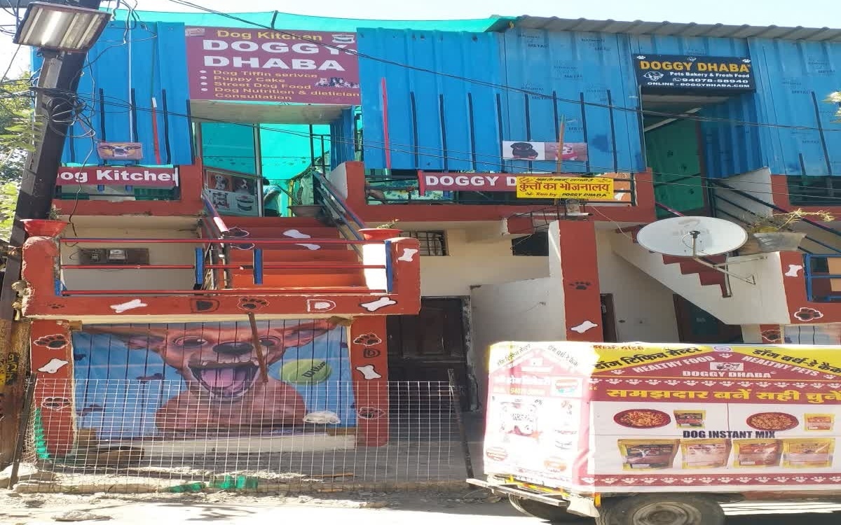 Độc đáo quán ăn dành cho chó tại Ấn Độ